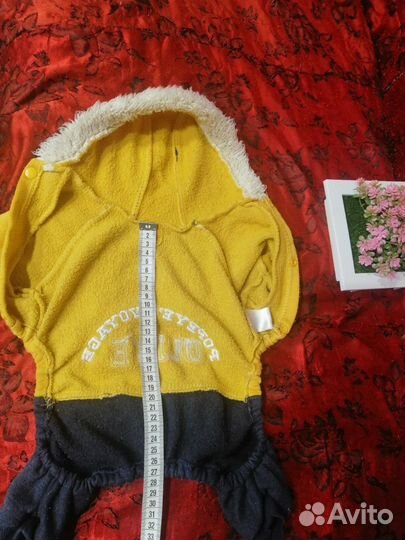 Одежда для маленьких собак