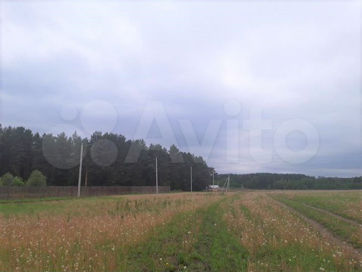 Участок 1,63 га (СНТ, ДНП)