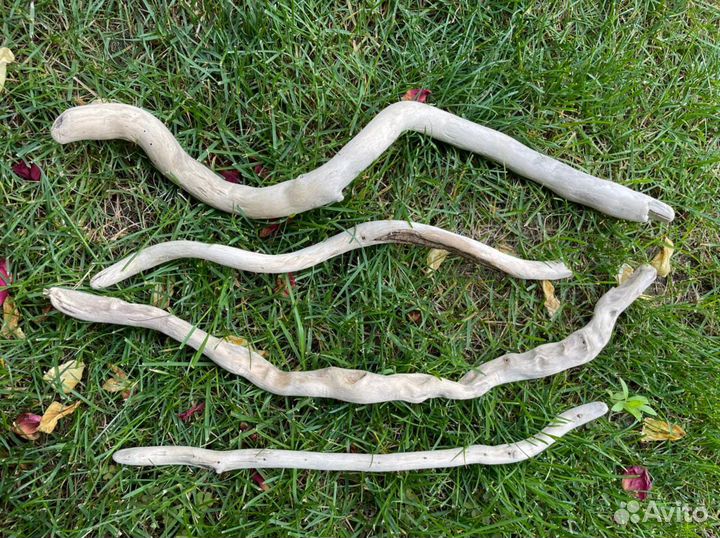 Морские палочки дрифтвуд 20-40 см