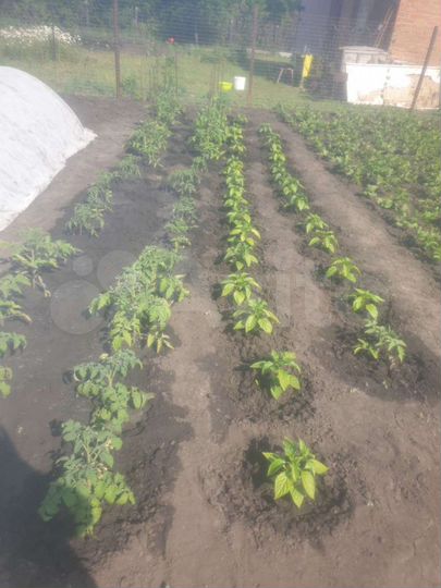 Участок 9 сот. (СНТ, ДНП)