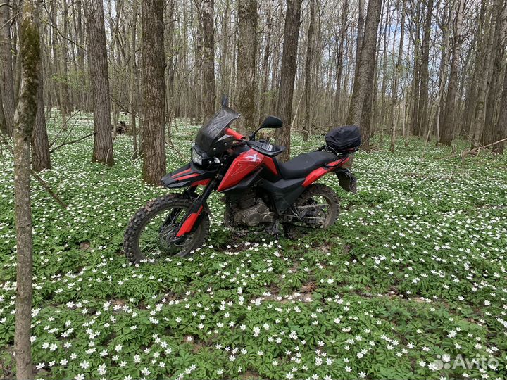 Fireguard 250 Trail 2022 года