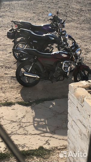 Рейсер 110
