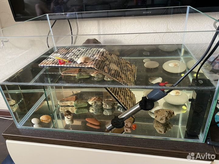 Террариум для черепахи