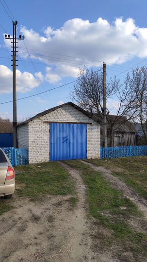 Дом 55 м² на участке 35 сот.