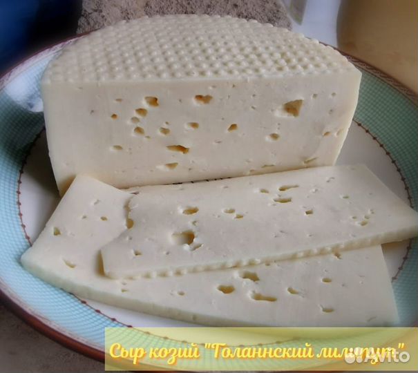 Козье молоко. Сыры из козьего молока