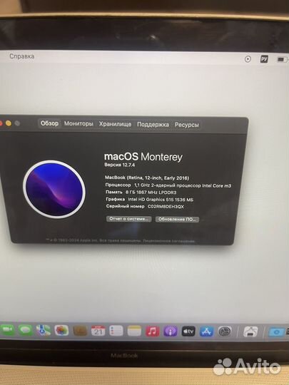 Apple MacBook 12 retina inch, earli 2016