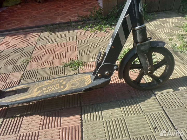 Самокат capella s 204 цвет Black