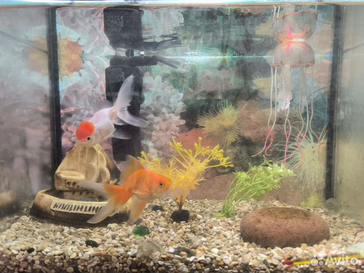 Украшение для аквариума