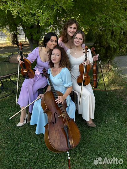 Живая музыка