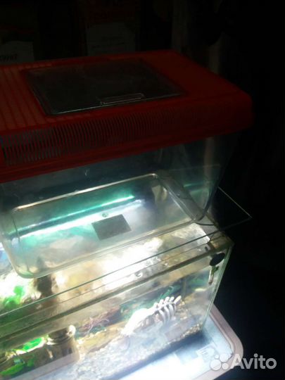 Переноска для грызунов