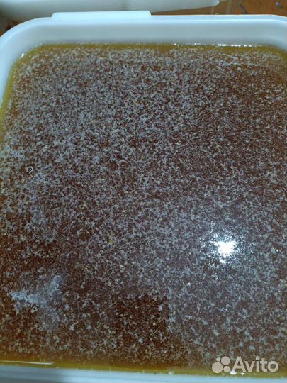 Мед новый урожай и продукты пчеловодства