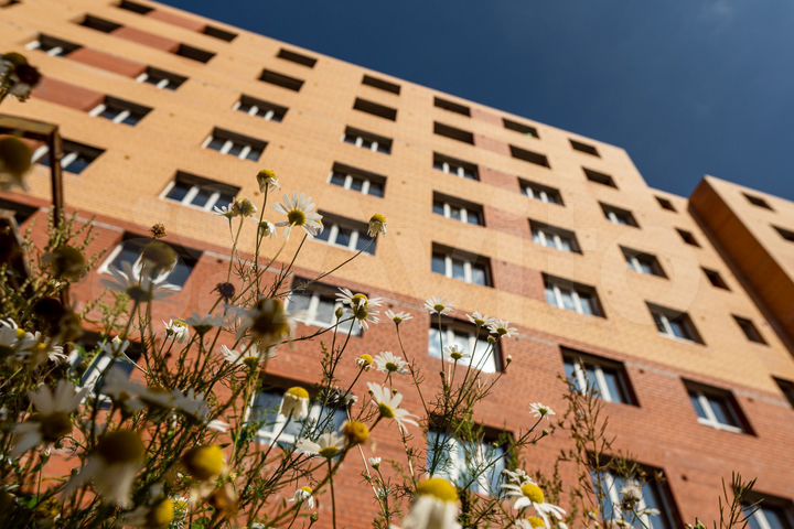 3-к. квартира, 65,1 м², 13/16 эт.