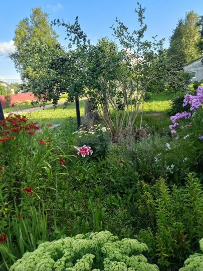 Дом 83 м² на участке 33 сот.