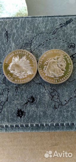 Красная книга казахстана