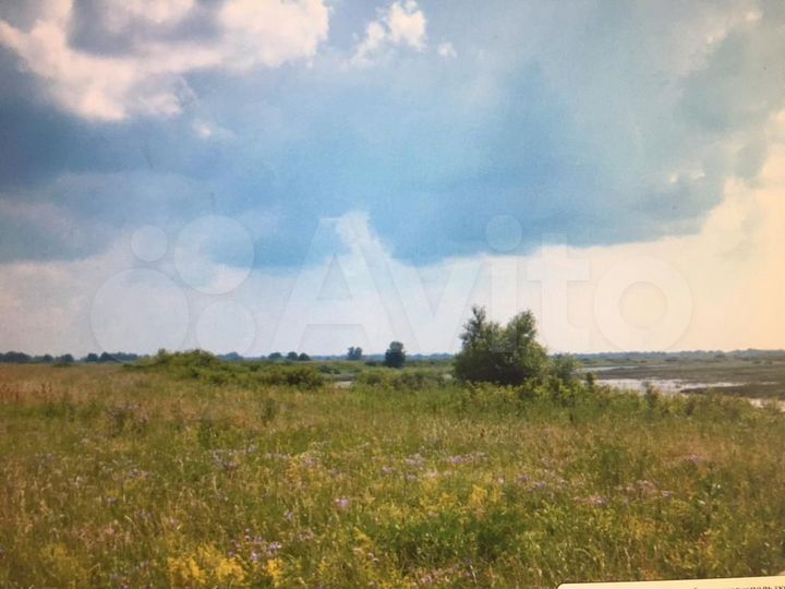 Участок 24 га (СНТ, ДНП)