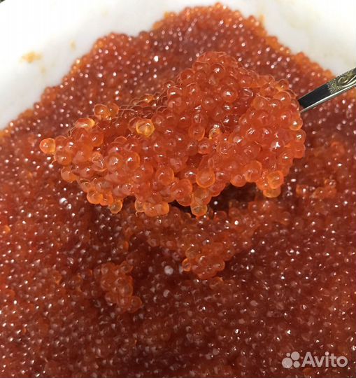 Красная икра оптом