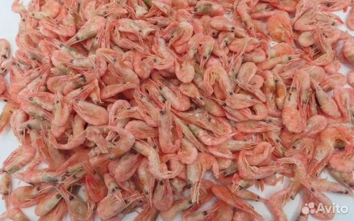 Креветка северная в/м РФ - 250+