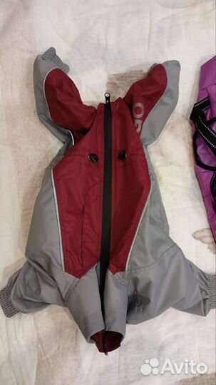 Куртка для собак