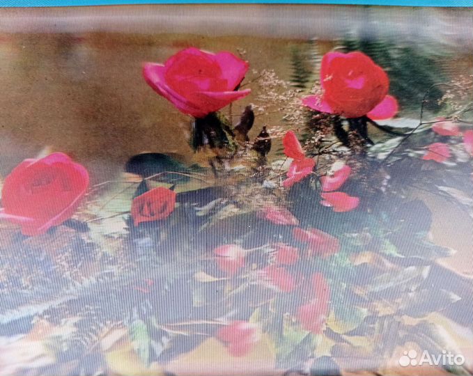 Открытки СССР + стерео открытка