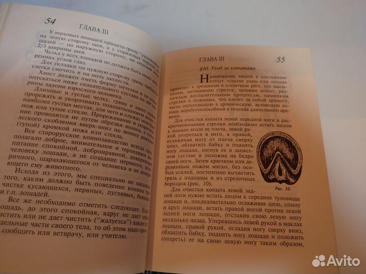 О русской школе верховой езды - 1998 год