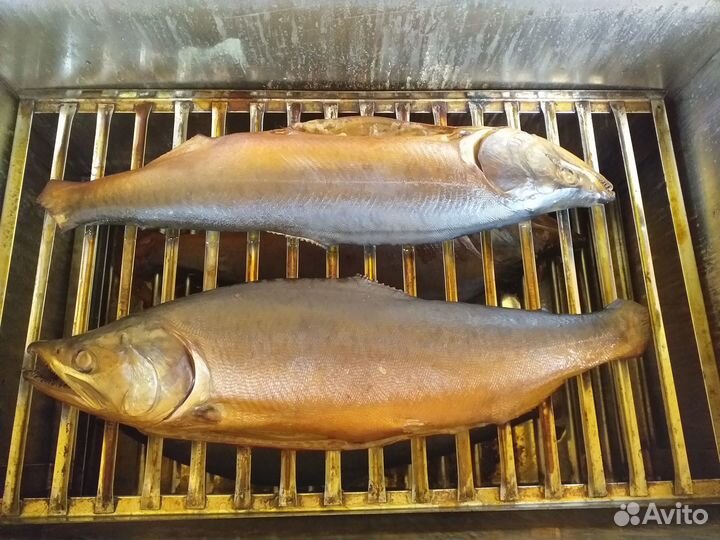 Копченая рыба