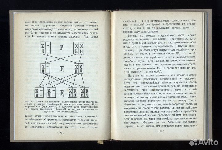 Филипченко Ю. А. Евгеника. 1924 год