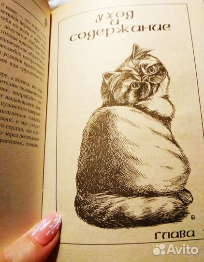 Персидские кошки. Н. Крылова, И. Афонина