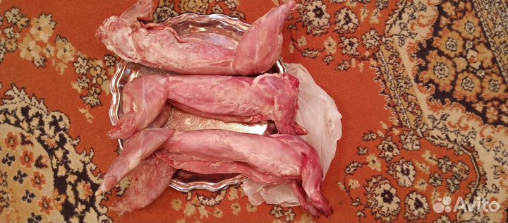 Кроли живой.Мясо кролика