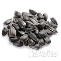 Продаю кормовые семечки