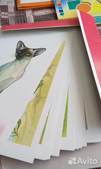 Материалы для подготовке к школе