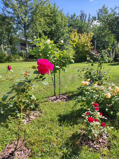 Дача 38 м² на участке 5 сот.