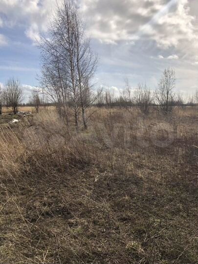 Участок 10 сот. (СНТ, ДНП)