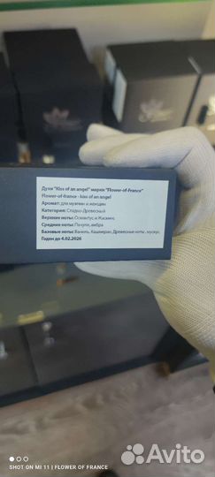 Hfc devil s intrigue французский аналог оригинал