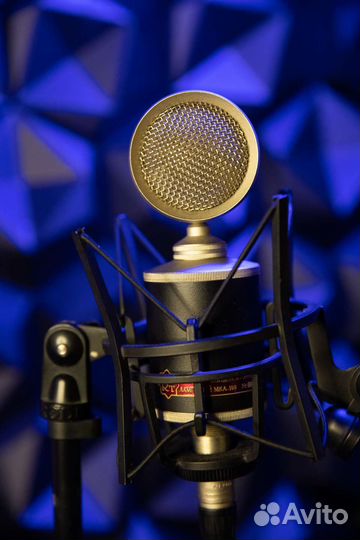 Студия звукозаписи/запись голоса