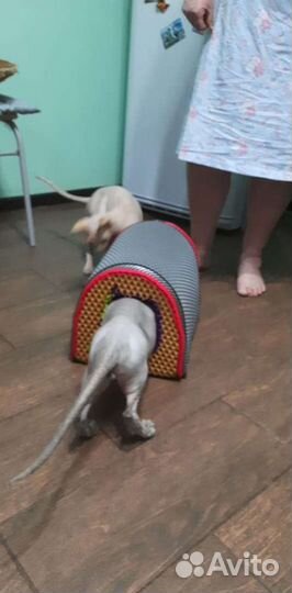 Домики и коврики