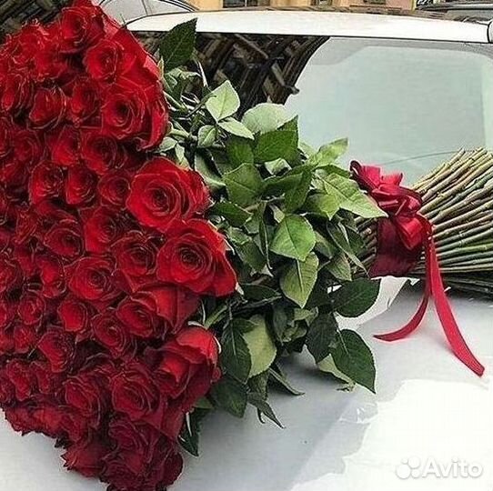 101 роза цветы букеты доставка 25 51 101 роза