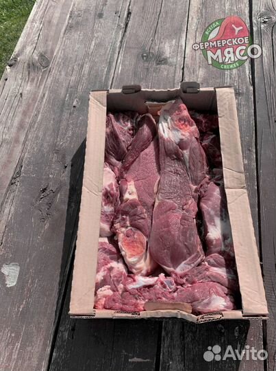 Мясо говядина