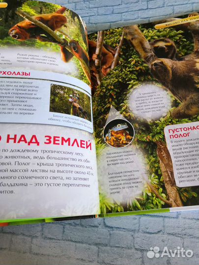 Детская энциклопедия росмэн а4