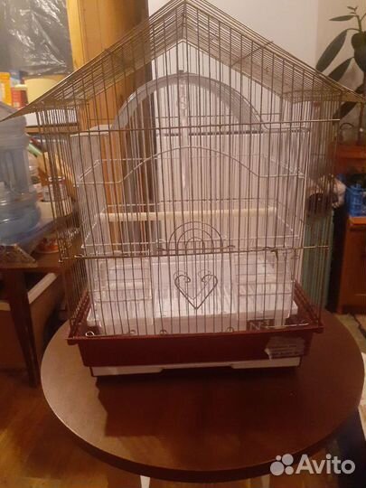 Большая клетка, купалка