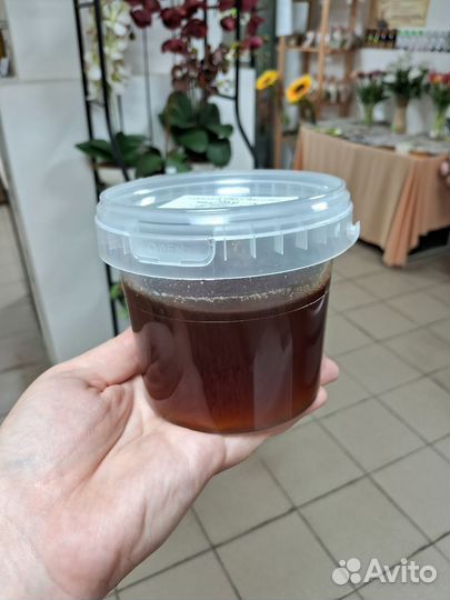 Мёд таёжный с дягилем