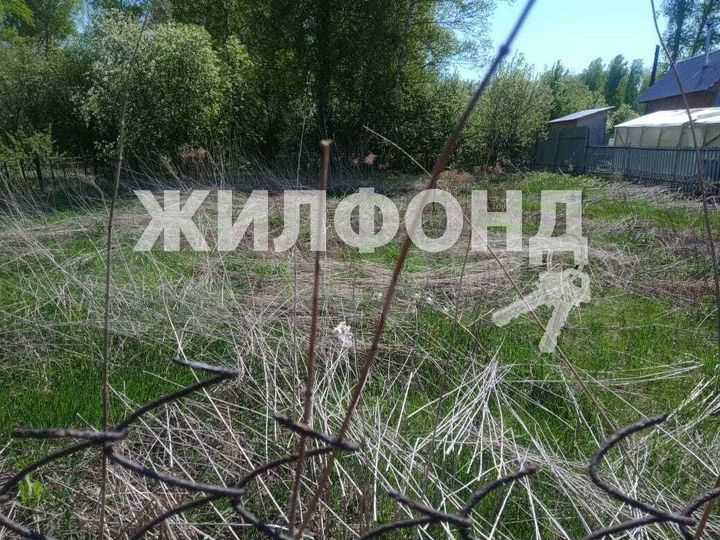 Участок 6 сот. (СНТ, ДНП)