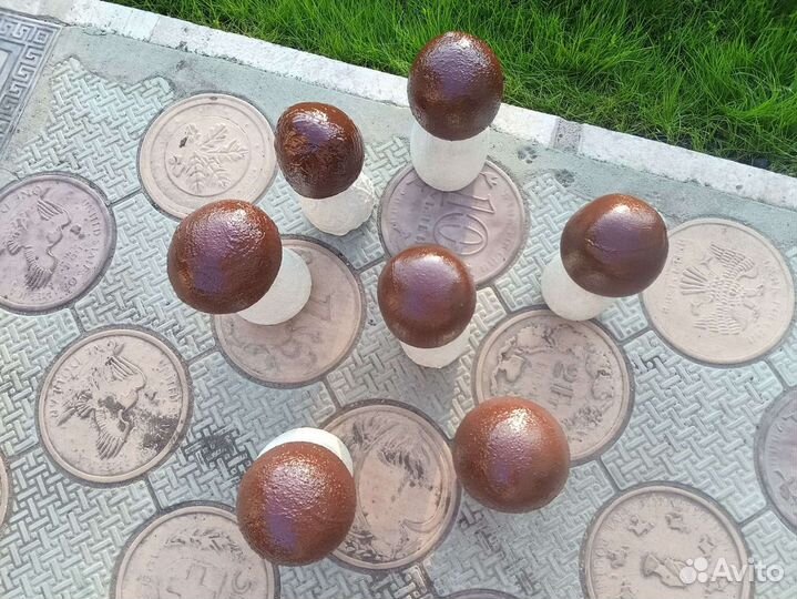 Декоративные грибы для ландшафта, сада, цветника