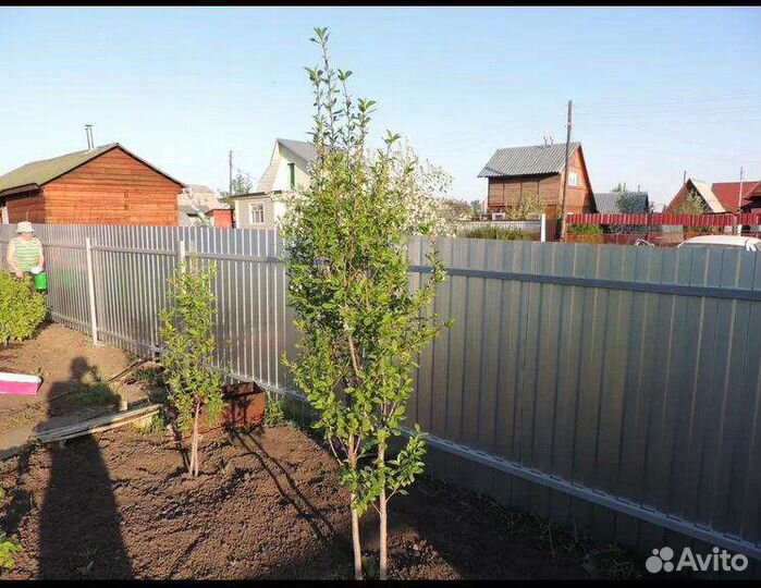 Забор из профнастила