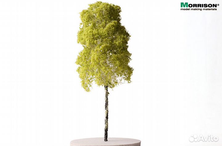 Дополнение к моделям Morrison 011-bep-015