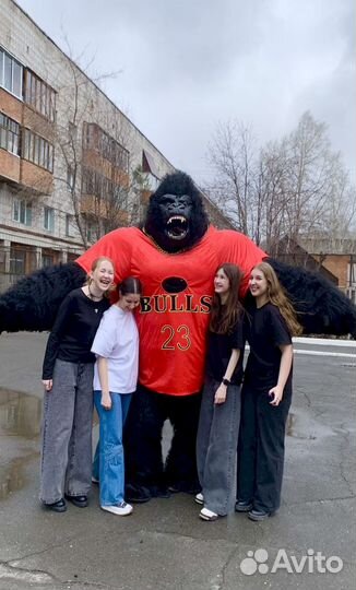 Ростовая кукла Кинг Конг поздравления