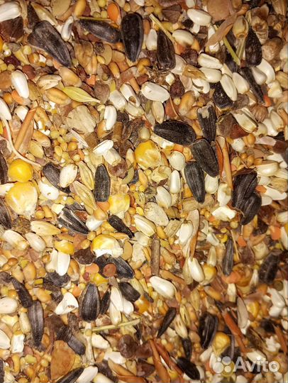 Пшеница ячмень дроблёный комбикорм