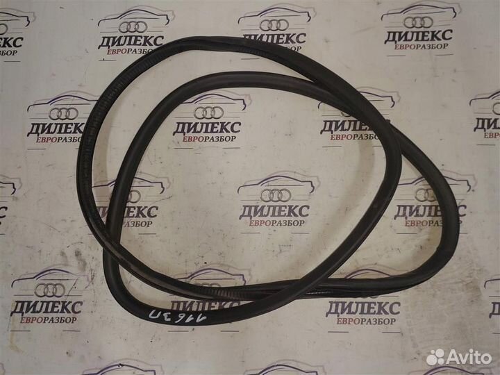 Уплотнитель двери задней Audi A6 (C6 4F) 2004-2011