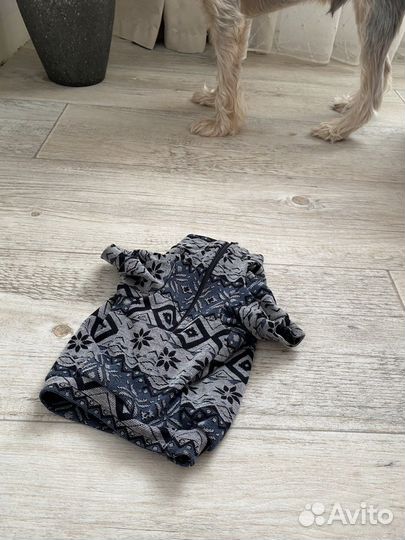 Одежда для собак