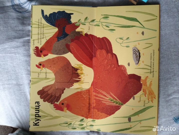 Книги от миф.Животные снаружи и внутри. Моне. ч. 2