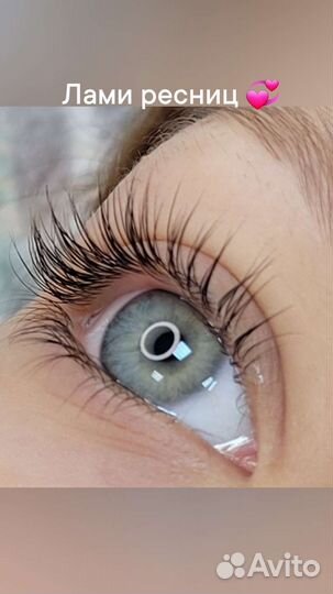Брови м/ж архитектура. Ламинирование ресниц/бровей